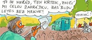53. Krtek.